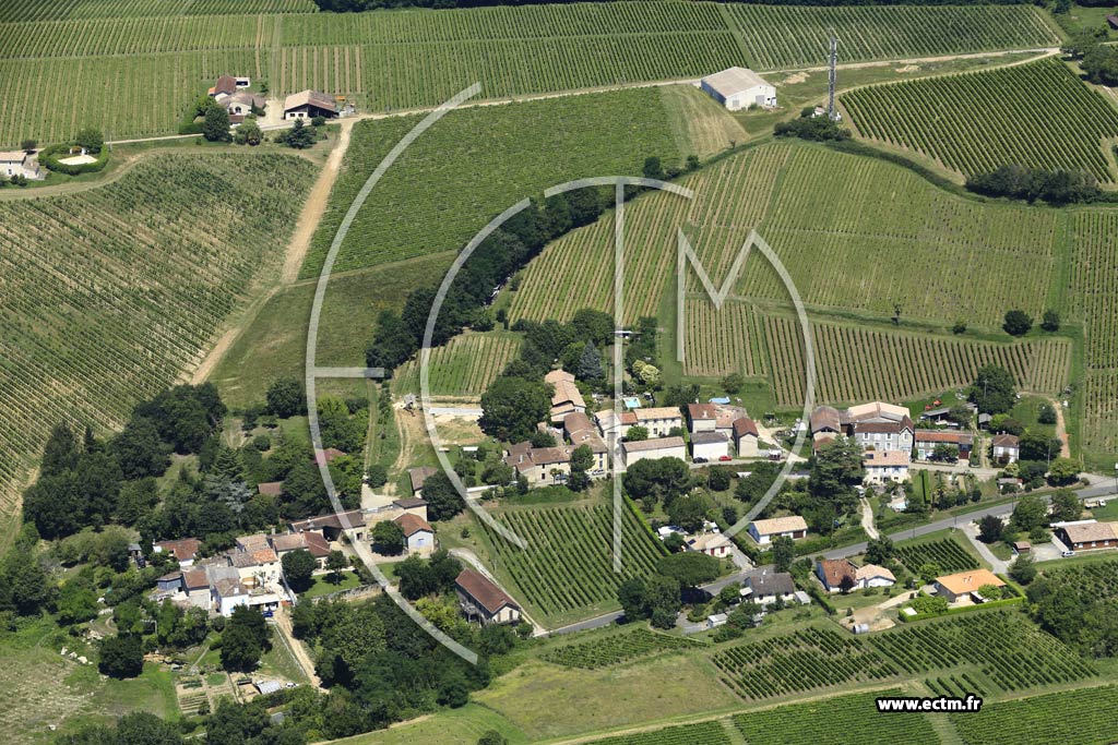 Photo arienne de Sainte-Croix-du-Mont (Larrivat)