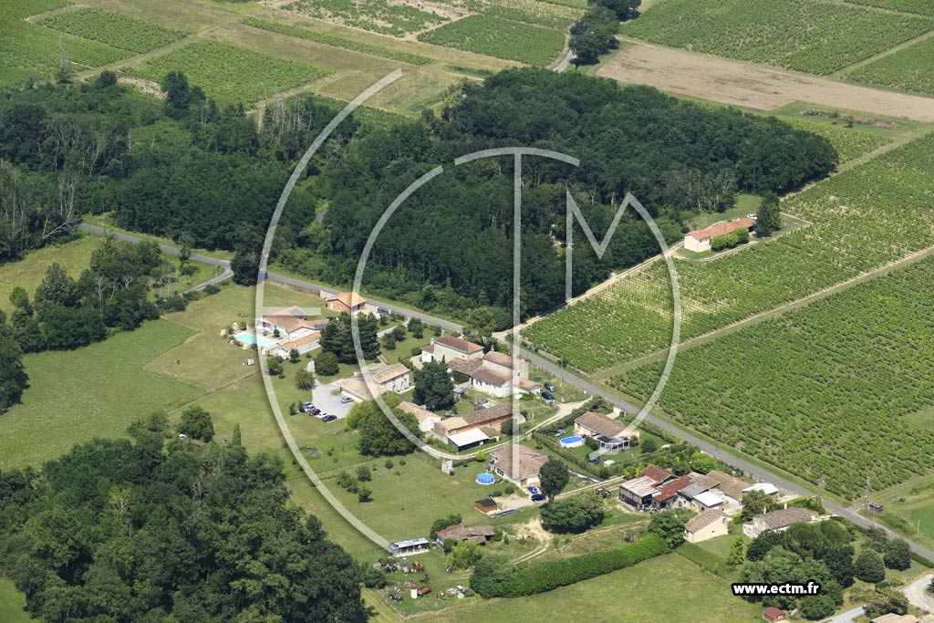 Photo arienne de Sauternes (Carasse)