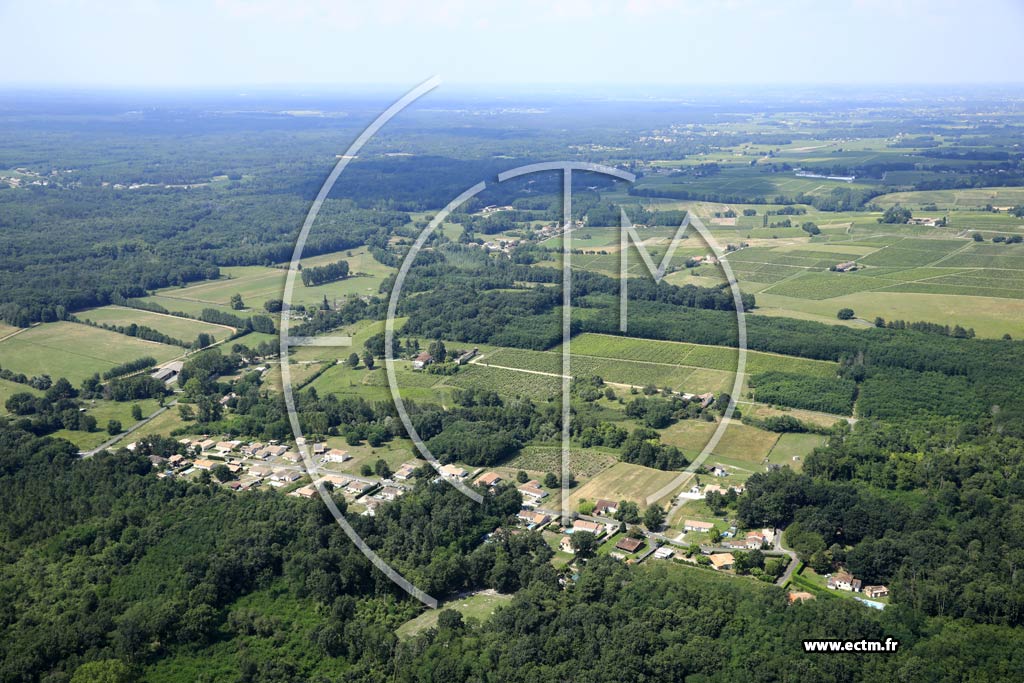 Photo arienne de Sauternes (la Bouray)
