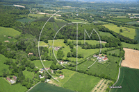 Photos de couves (Radon)