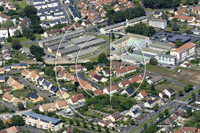 Photos de Le Mans (Pin - Vert Galant)