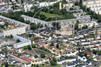 Photos de Le Mans (Pin - Vert Galant)