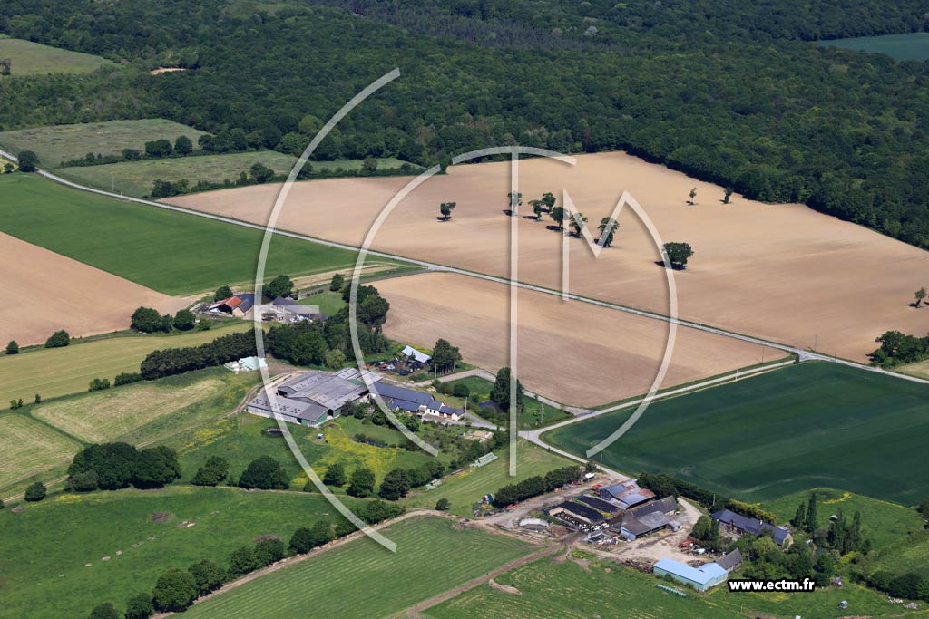 Photo arienne de Saint-Saturnin-du-Limet (La Bocquetire)