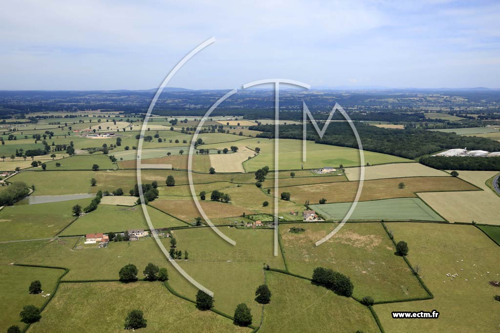 Photo arienne de Le Pin (Le Tureau Jaune)