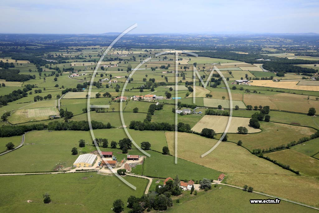 Photo arienne de Le Pin (Les Cognauds)